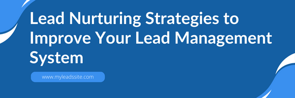 Lead Nurturing Strategies to Improve Your Lead Management System